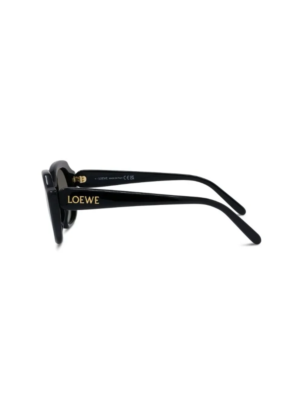 LOEWE new sunglasses